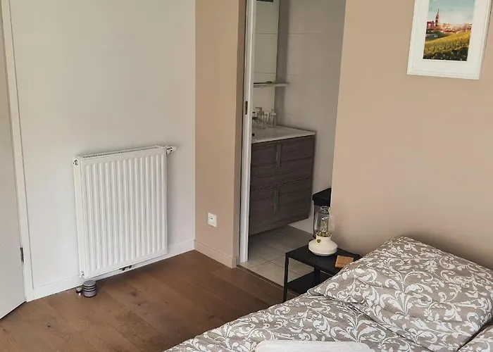 Parentale Du Centre-ville: Verdure Et Tranquillité Homestay