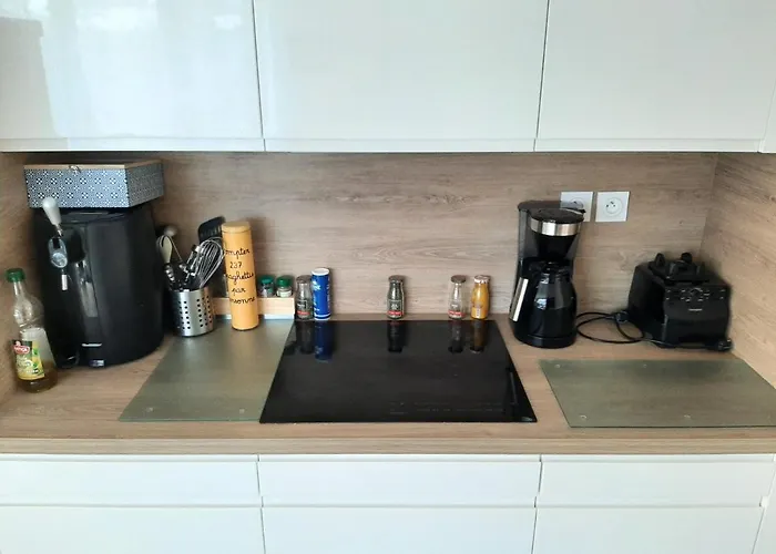 Parentale Du Centre-ville: Verdure Et Tranquillité Homestay Bordeaux