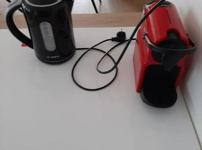 Homestay Parentale Du Centre-ville: Verdure Et Tranquillité