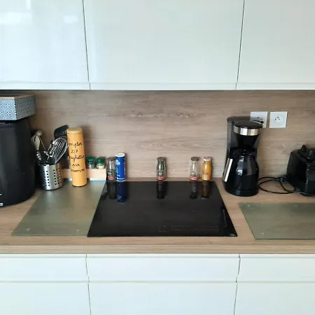 Parentale Du Centre-ville: Verdure Et Tranquillité Homestay Bordeaux